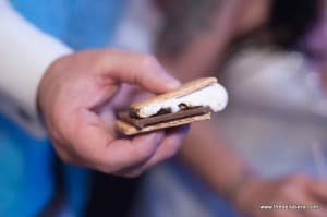 s'mores for a party